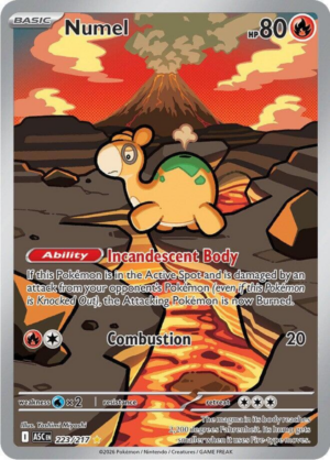 Numel 223/217 - Illustration Rare - Ascended Heroes - Pokemon TCG